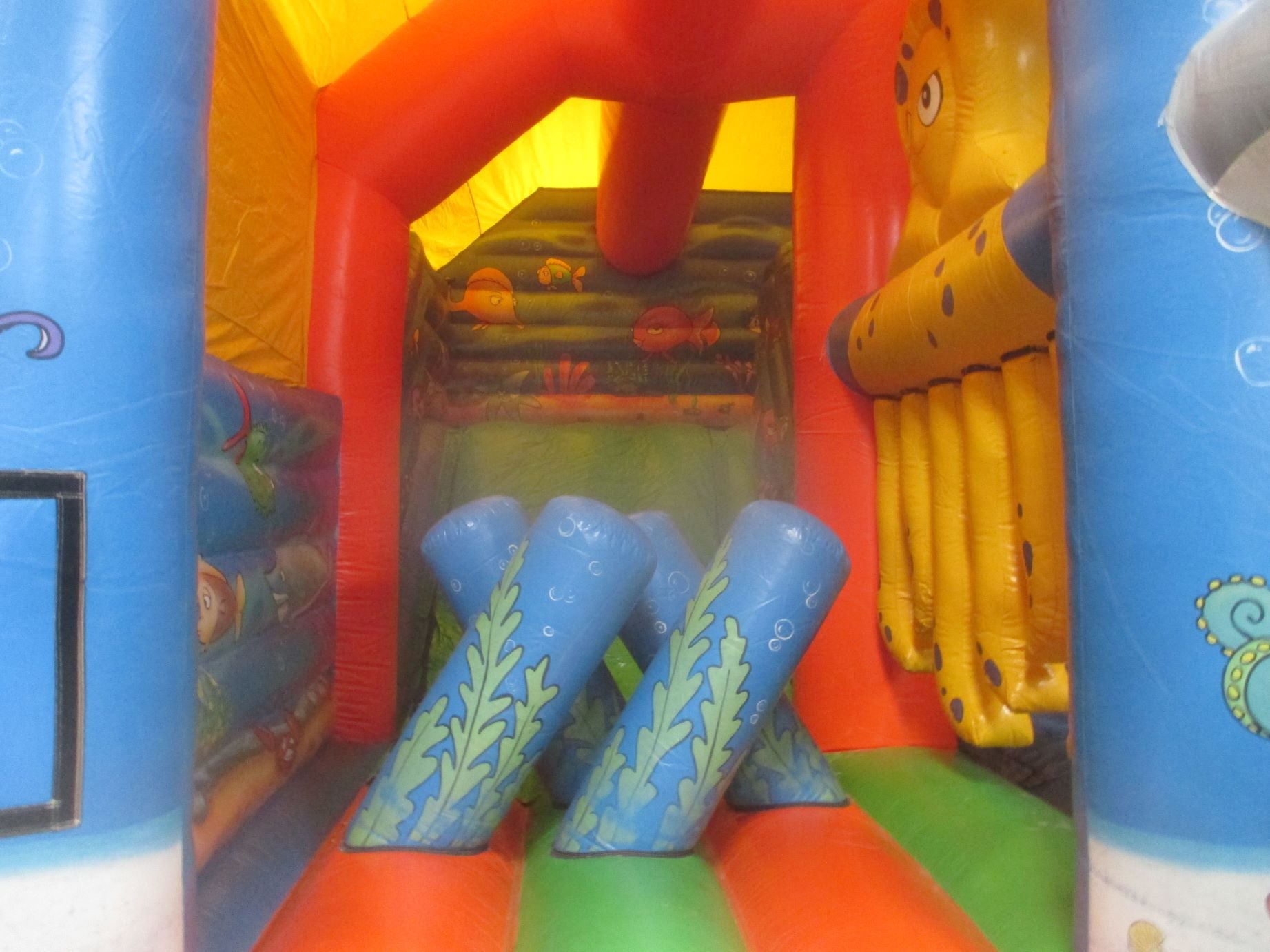 41 - Activity Center Zee