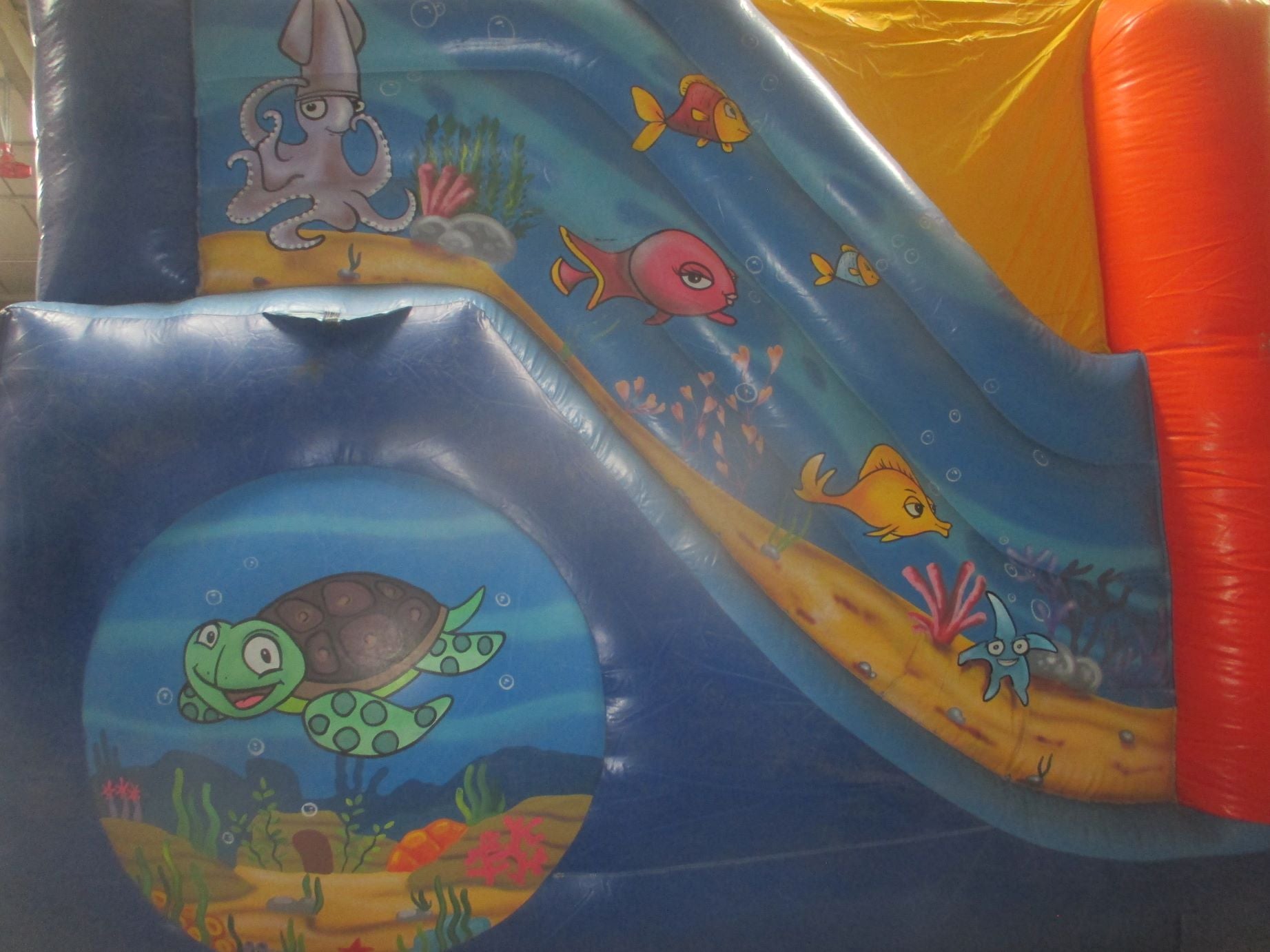 41 - Activity Center Zee