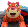 Katze