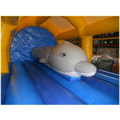 Bumpy Maxi Delphin