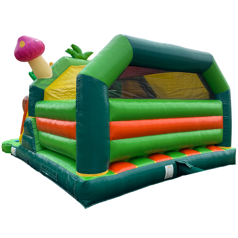 Combo Midi 2 Slides Frog Inflatable