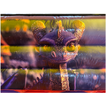 Hüpfburg Combo Mini 3D Drachenburg