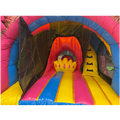 Hüpfburg Curve Bounce N Slide Prinzessin