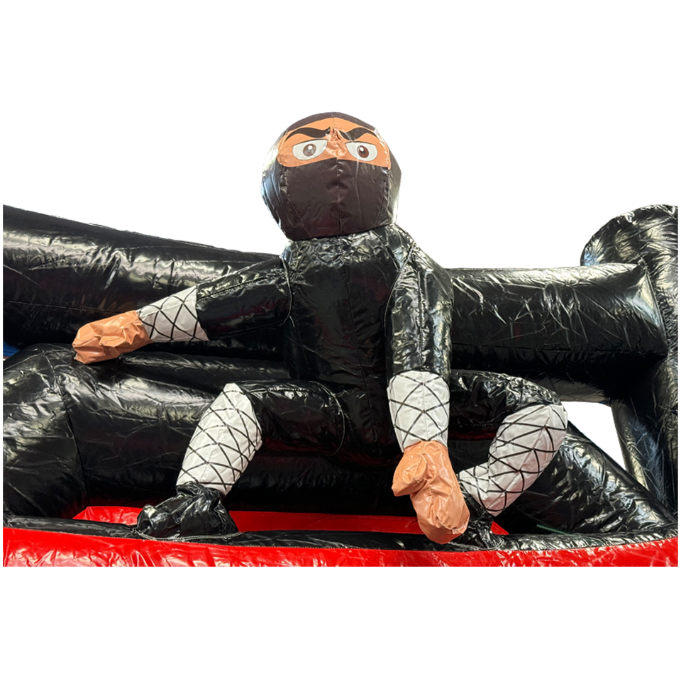 Ninja
