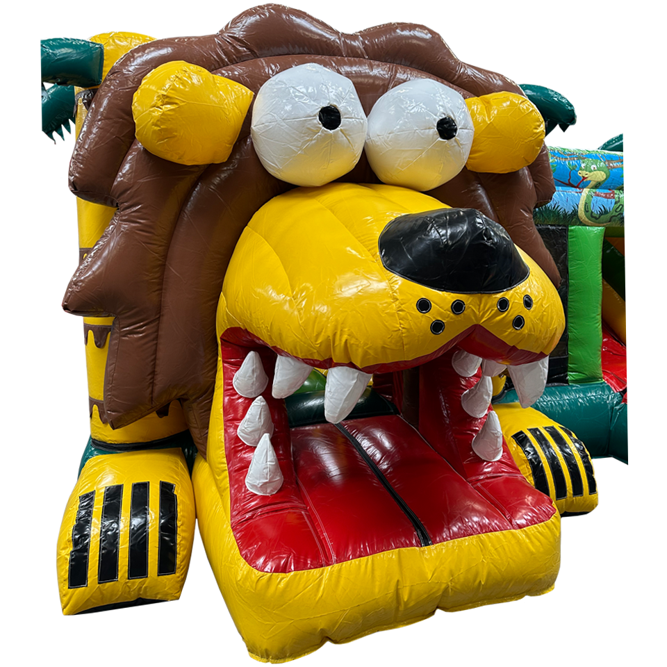 Multiplay Maxi Lion Without Roof