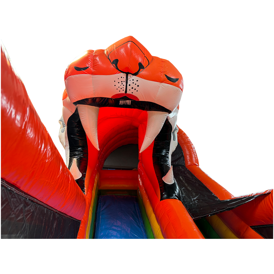 Toboggan Tigre