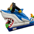 Surfen Hai