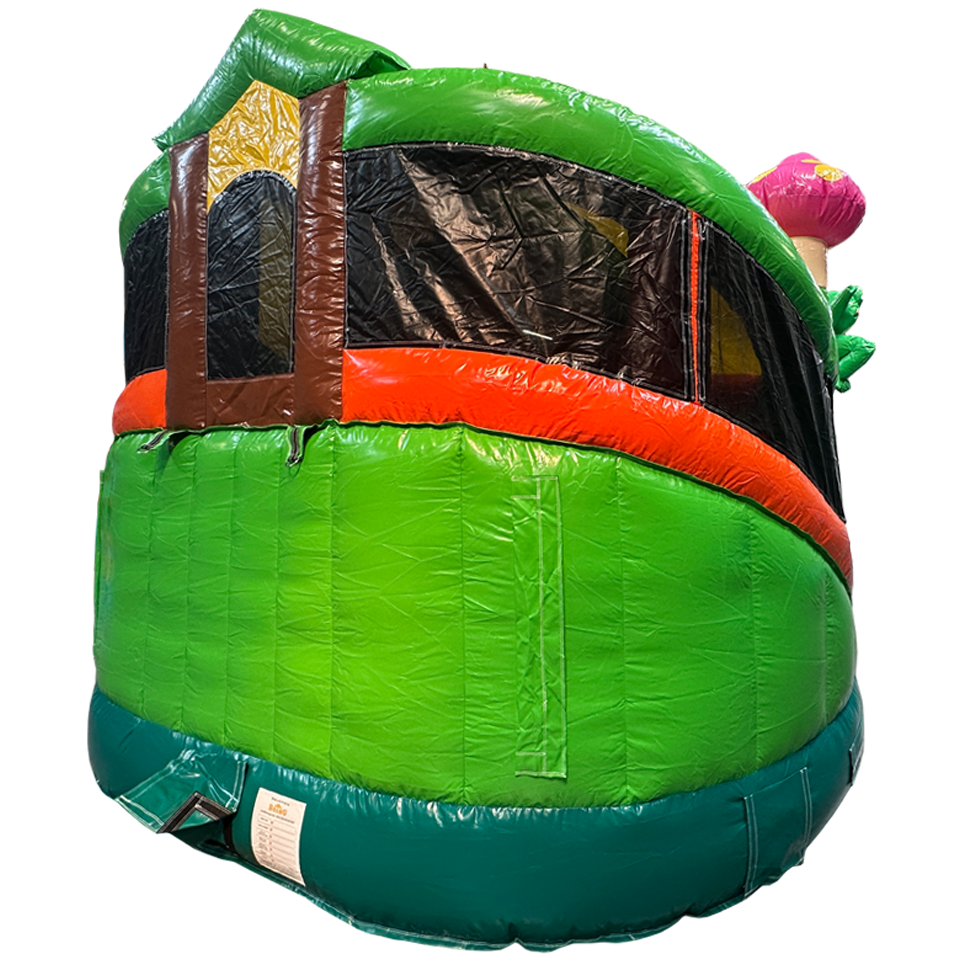 Twist N Slide Frog Inflatable