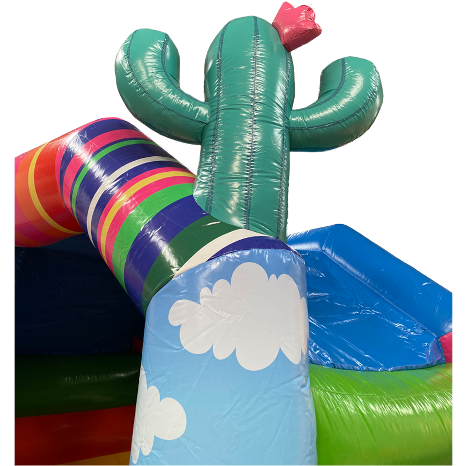 opgeblazen cactus