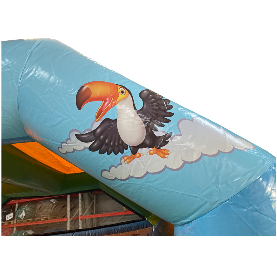 Tucan op wolk