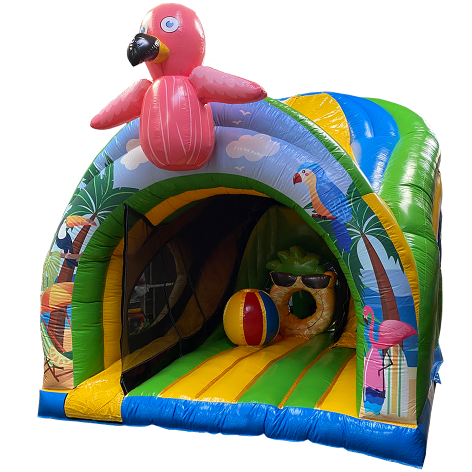 Curve Bounce N Slide Flamant