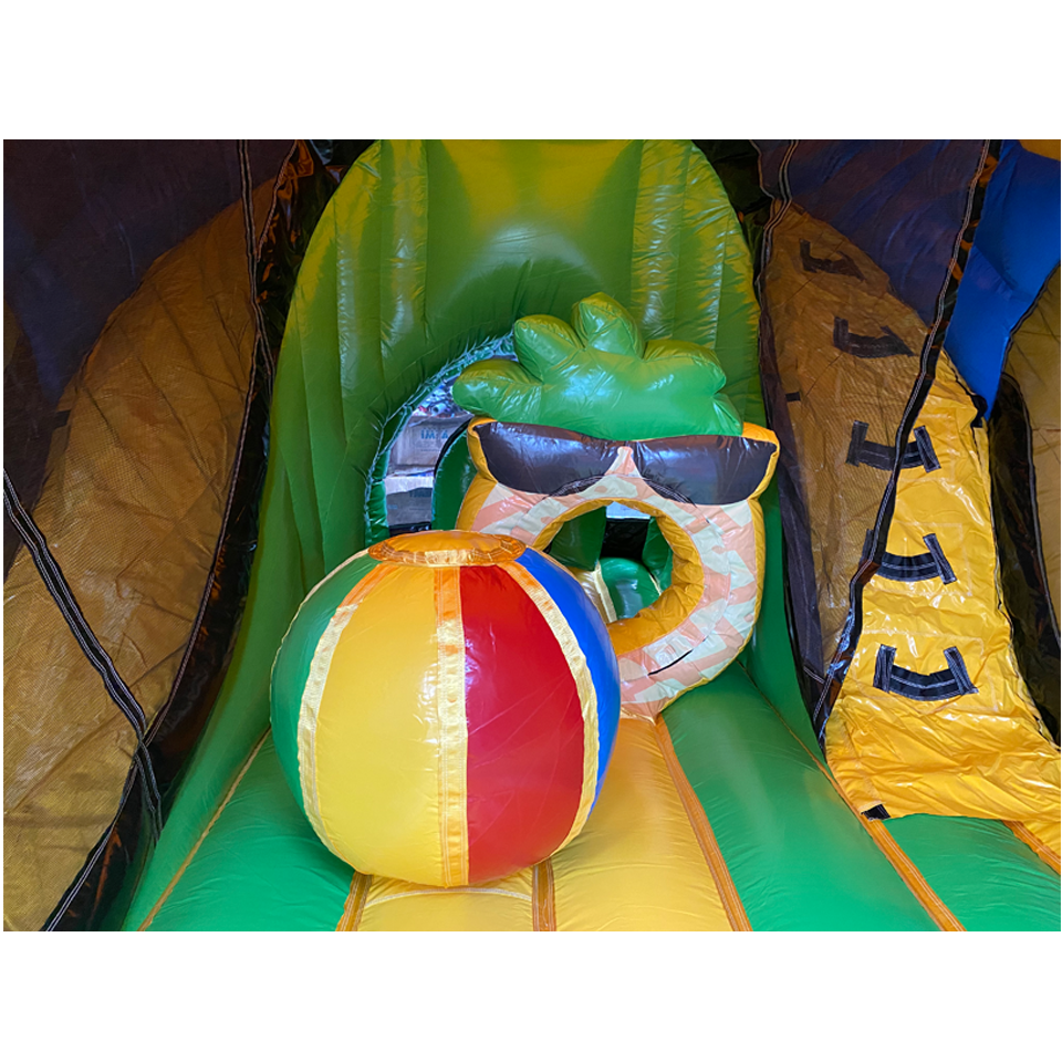 Curve Bounce N Slide Flamant
