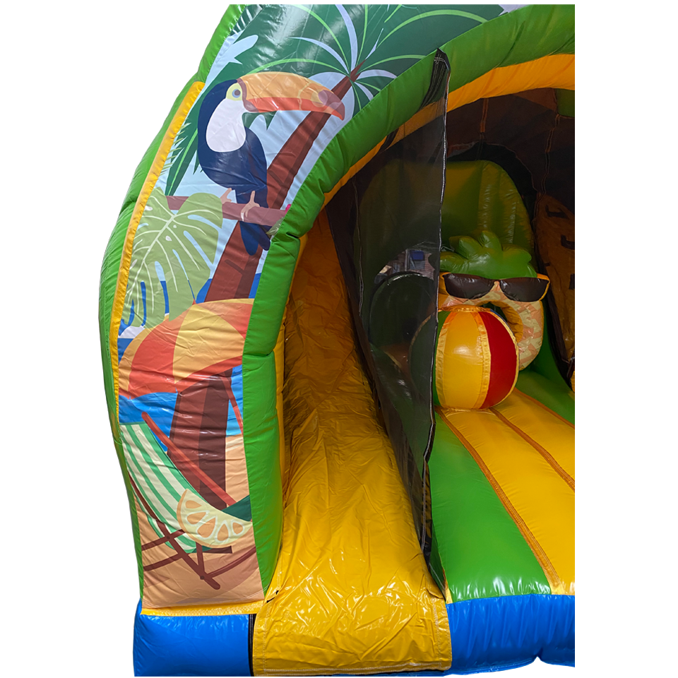 Curve Bounce N Slide Flamant