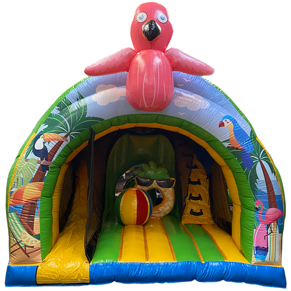 Curve Bounce N Slide Flamant