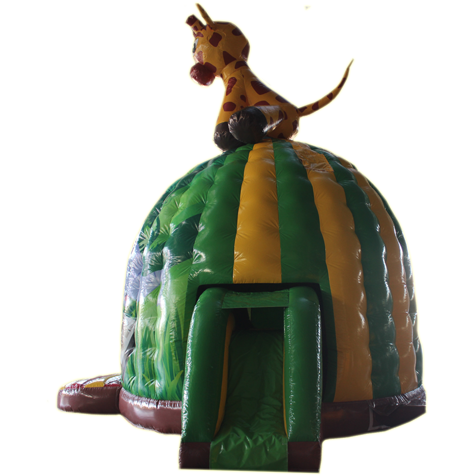 Disco Midi Girafe avec toboggan