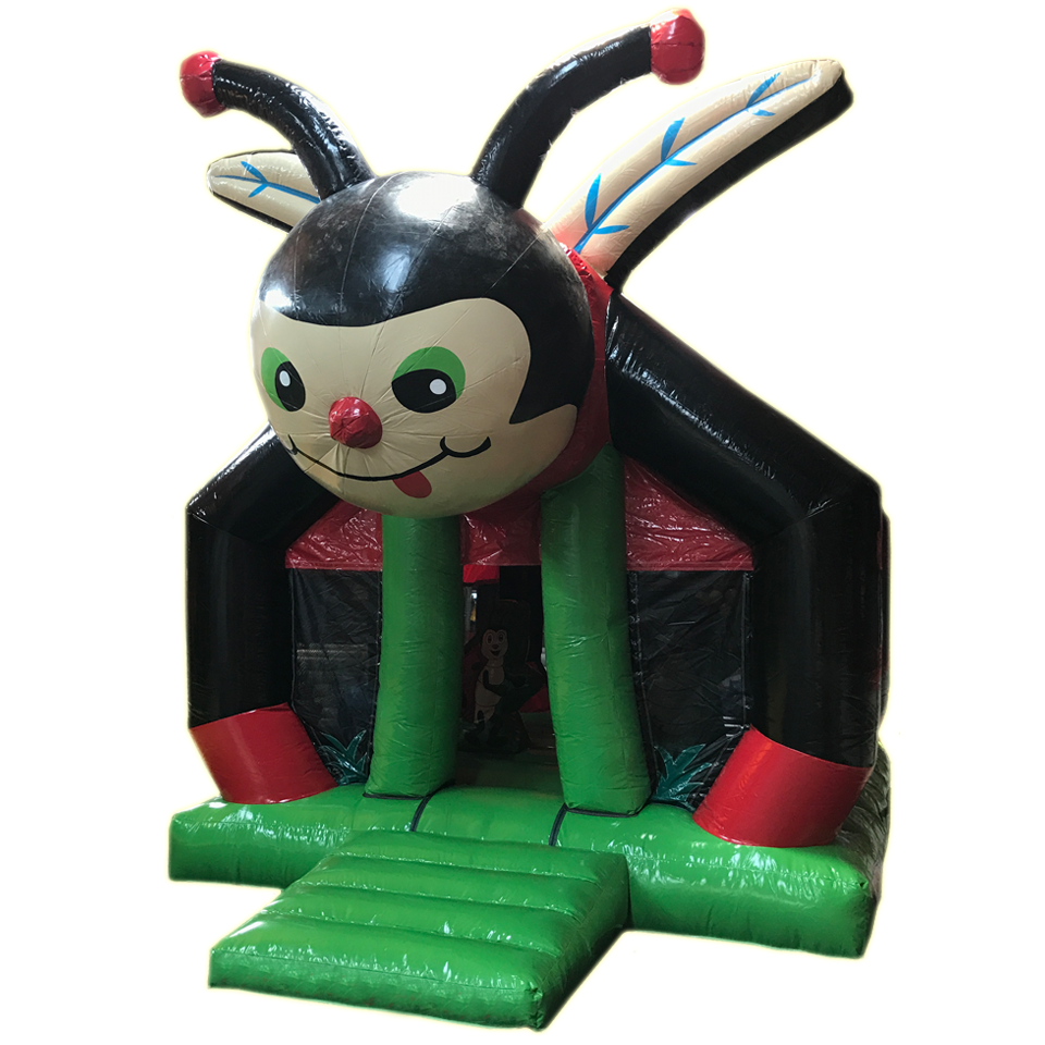 Insect Ladybug