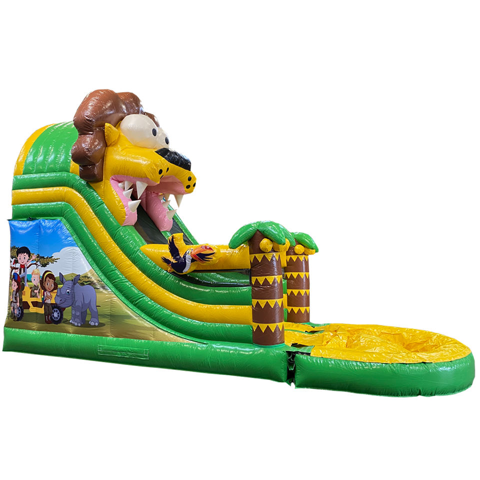 Petit Toboggan Lion