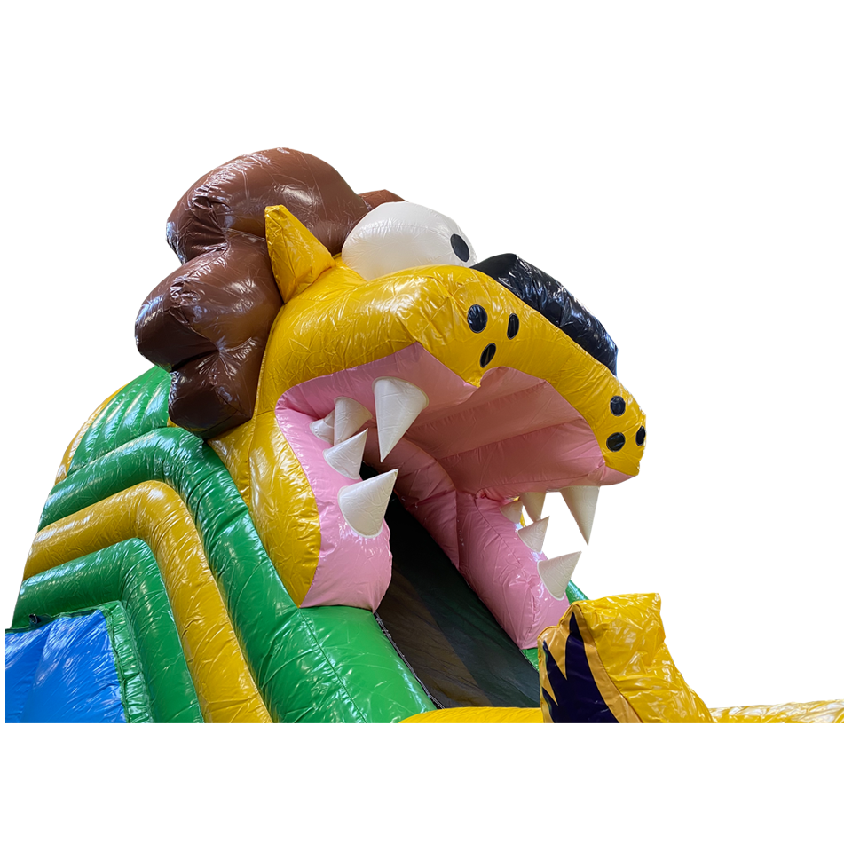 Petit Toboggan Lion