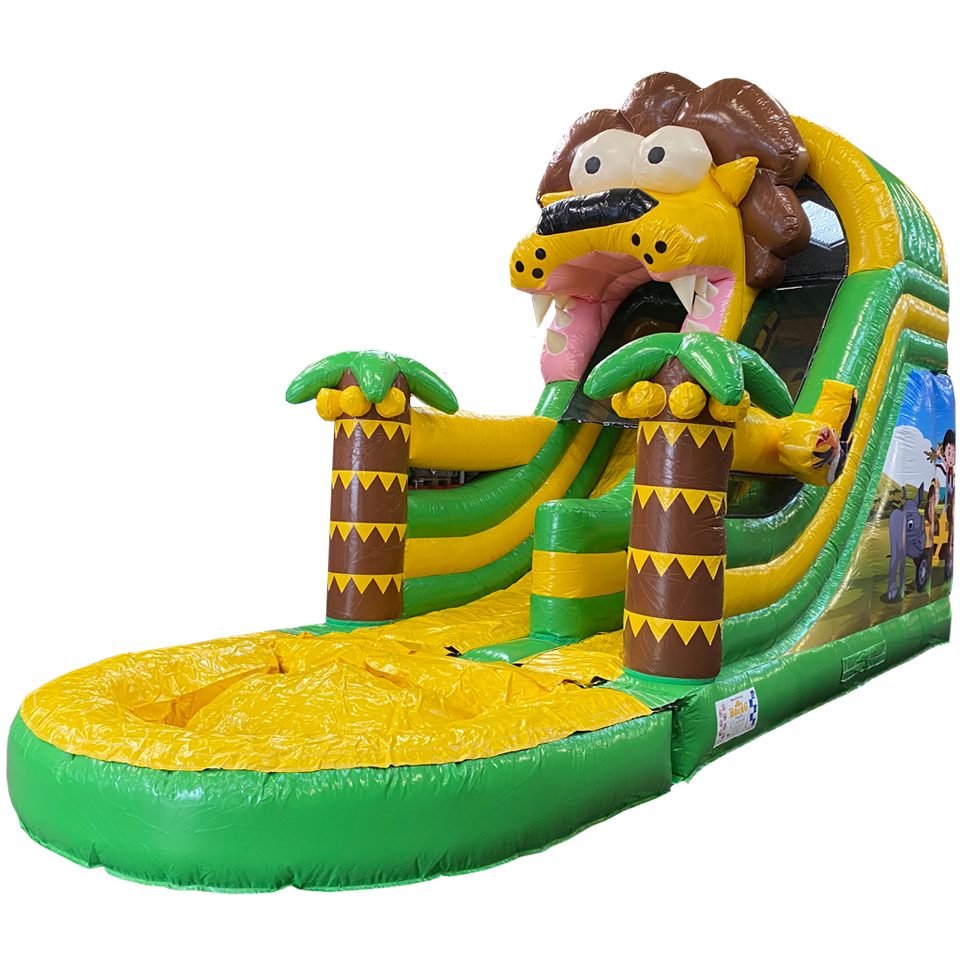 Petit Toboggan Lion