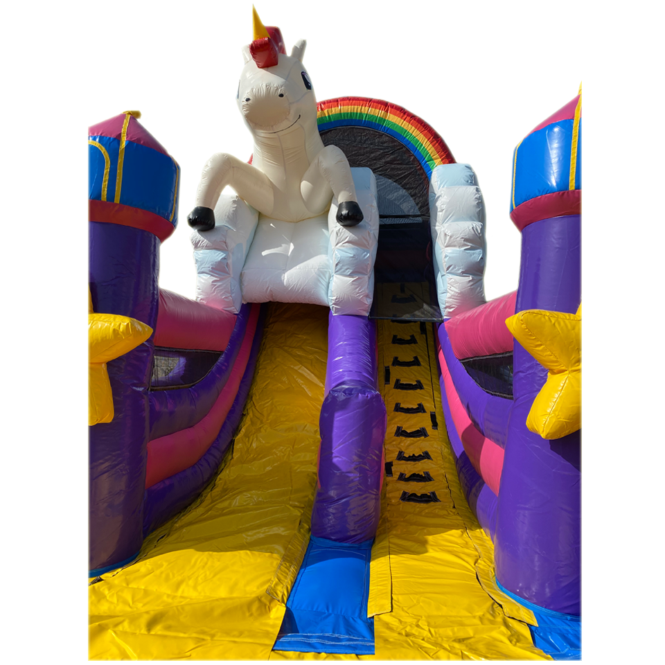 Petit Toboggan Licorne