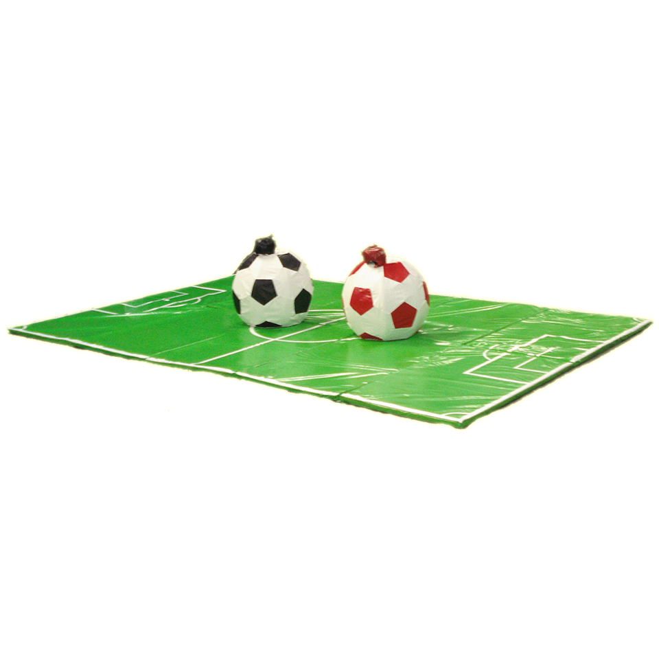 Soccer Sumo Set